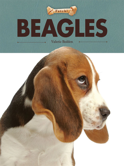 Title details for Beagles by Valerie Bodden - Available